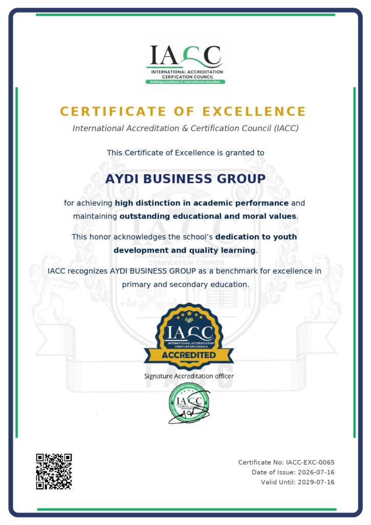 aydi business group 4