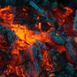 Étude de Cas : Charbon de bois