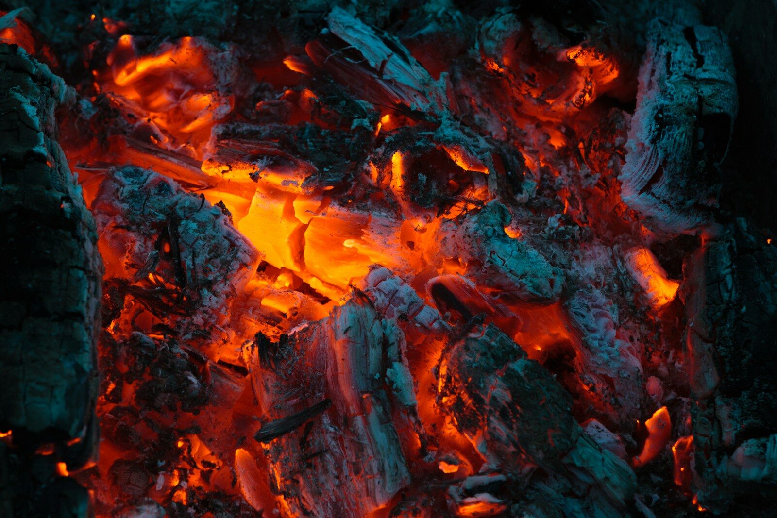 charbon de bois